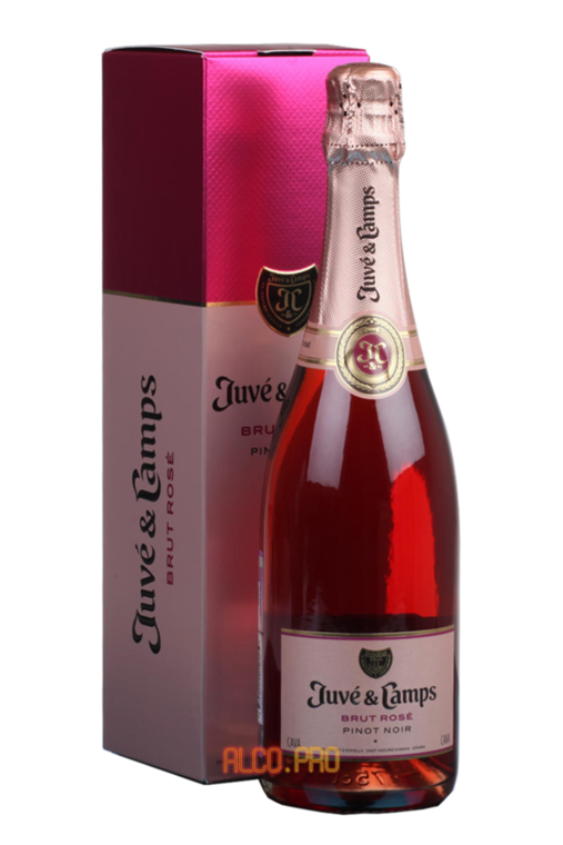 Juve y Camps Cava Rosado испанское шампанское Жюве и Кампс Кава Росадо