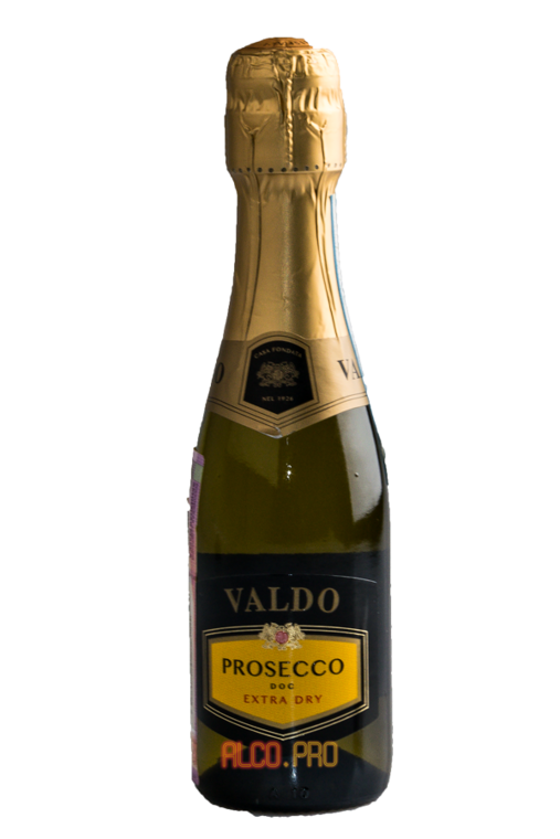 Шампанское Valdo Prosecco. Вальдо Просекко док. Prosecco Treviso шампанское. Valdo Prosecco Extra Dry. Шампанское doc