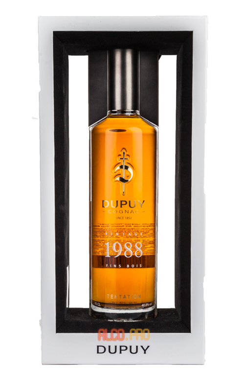 Dupuy Tentation 1988 0,7l Коньяк Дюпюи Тентасьон 1988г 0,7 в п/у Dupuy Tentation 1988 0,7l Коньяк Дюпюи Тентасьон 1988г 0,7 в п/у