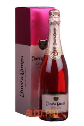 Juve y Camps Cava Rosado испанское шампанское Жюве и Кампс Кава Росадо