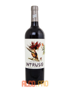 Bodegas Lo Nuevo Intruso Montsant Red Blend испанское вино Бодегас Ло Нуэво Интрусо Монтсант Ред Бленд