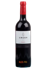 Cruor Priorat DOC Испанское вино Круор Приорат ДОК