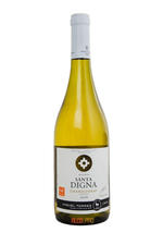 Miguel Torres Santa Digna Sauvignon Blanc чилийское вино Мигель Торрес Санта Дигна Совиньон Блан