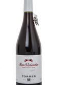 Torres San Valentin Garnacha испанское вино Торрес Сан Валентин Гарнача Красное Сухое